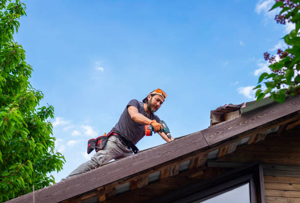 Best Storm Damage Roof Repair  in Clawson, MI